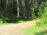 Click to enlarge Driftwood Provincial Park, Ontario, Canada. Campground road in Brumm area