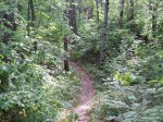 Driftwood Provincial Park, Ontario, Canada. Cherries creek Trail