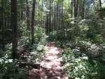 Driftwood Provincial Park, Ontario, Canada. Path connecting 2 electrical sections