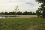 Click to enlarge Earl Rowe Provincial Park, Ontario, Canada. Small lake with swimming area. When beach closed due to high bacteria levels there is still the park pool.