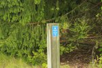 Earl Rowe Provincial Park, Ontario, Canada. Rainbow run trail