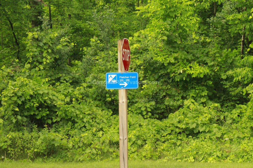 Fletcher Field Campground at Earl Rowe Provincial Park, Ontario, Canada