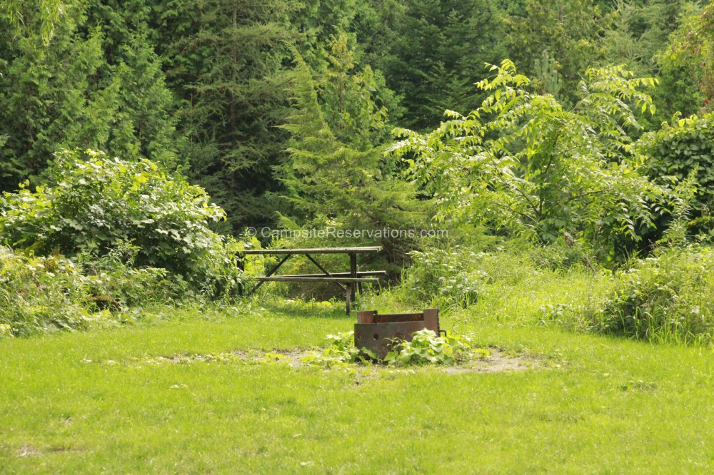 Campsite 01 in Salmon Run Campground at Earl Rowe Provincial Park