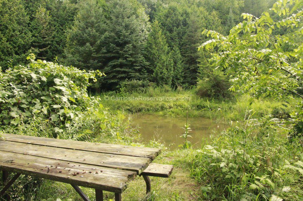 Campsite 01 in Salmon Run Campground at Earl Rowe Provincial Park