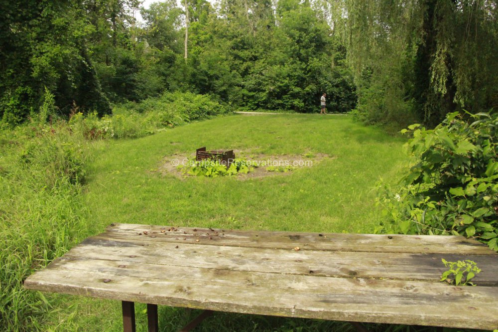 Campsite 01 in Salmon Run Campground at Earl Rowe Provincial Park
