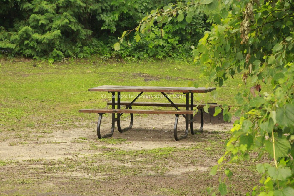 Campsite 085 in Heydon Way Campground at Earl Rowe Provincial Park