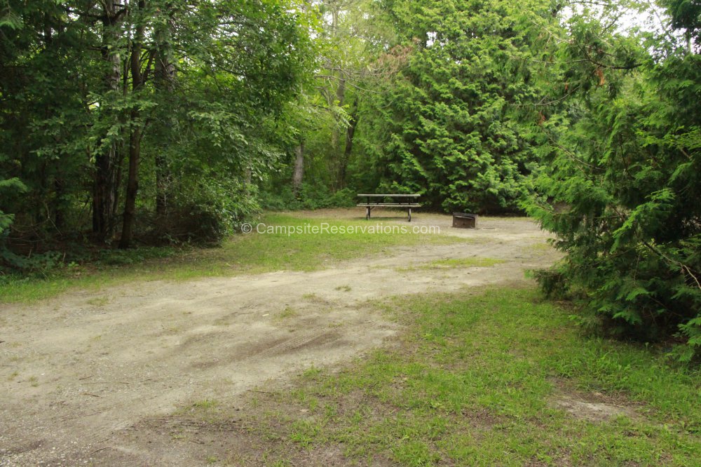 Campsite 124 in Heydon Way Campground at Earl Rowe Provincial Park
