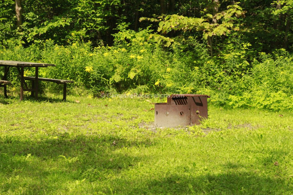 Campsite 13 in Salmon Run Campground at Earl Rowe Provincial Park