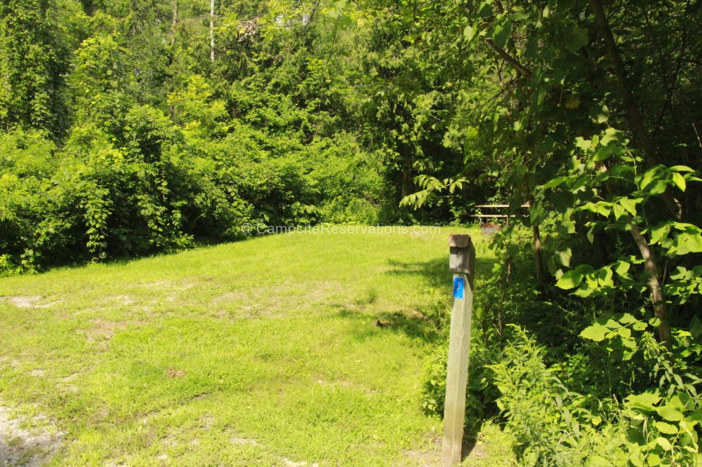 Campsite 15 in Rabbit Loop Campground at Earl Rowe Provincial Park ...