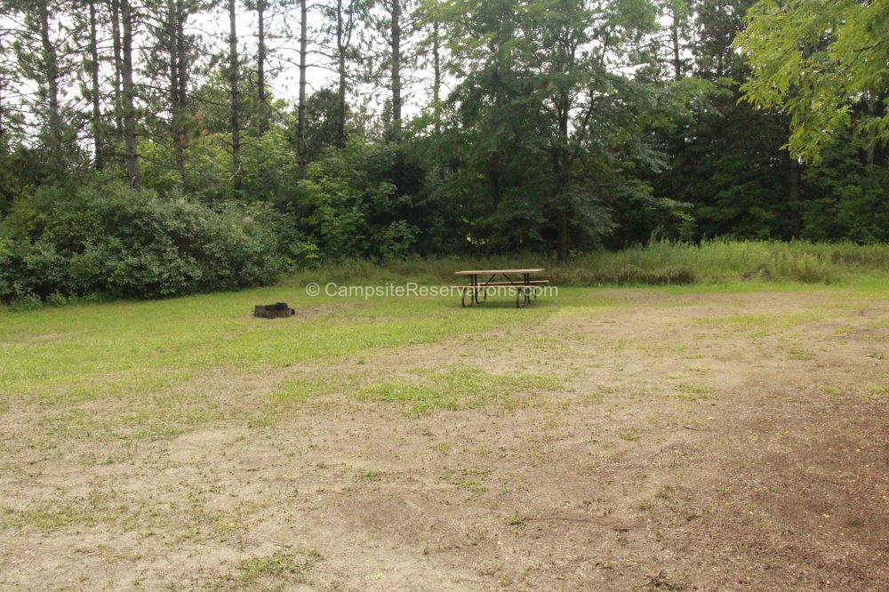 Photo of Campsite 203 in Fletcher Field Campground at Earl Rowe