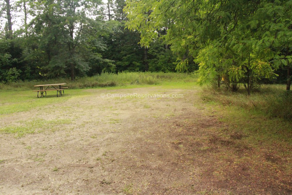 Photo of Campsite 203 in Fletcher Field Campground at Earl Rowe