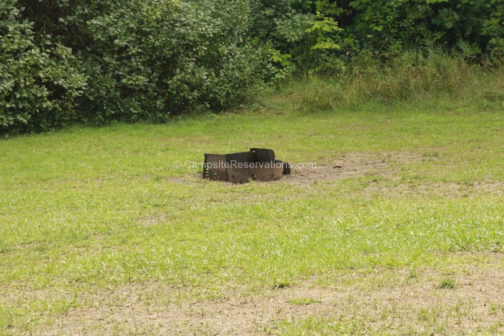 Photo of Campsite 203 in Fletcher Field Campground at Earl Rowe