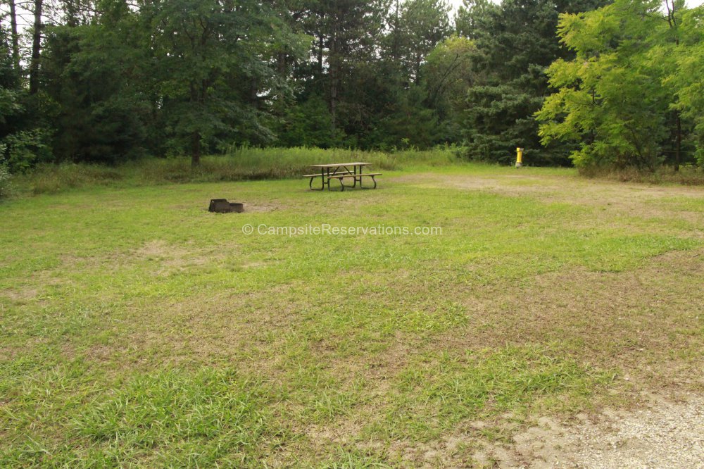 Photo of Campsite 203 in Fletcher Field Campground at Earl Rowe