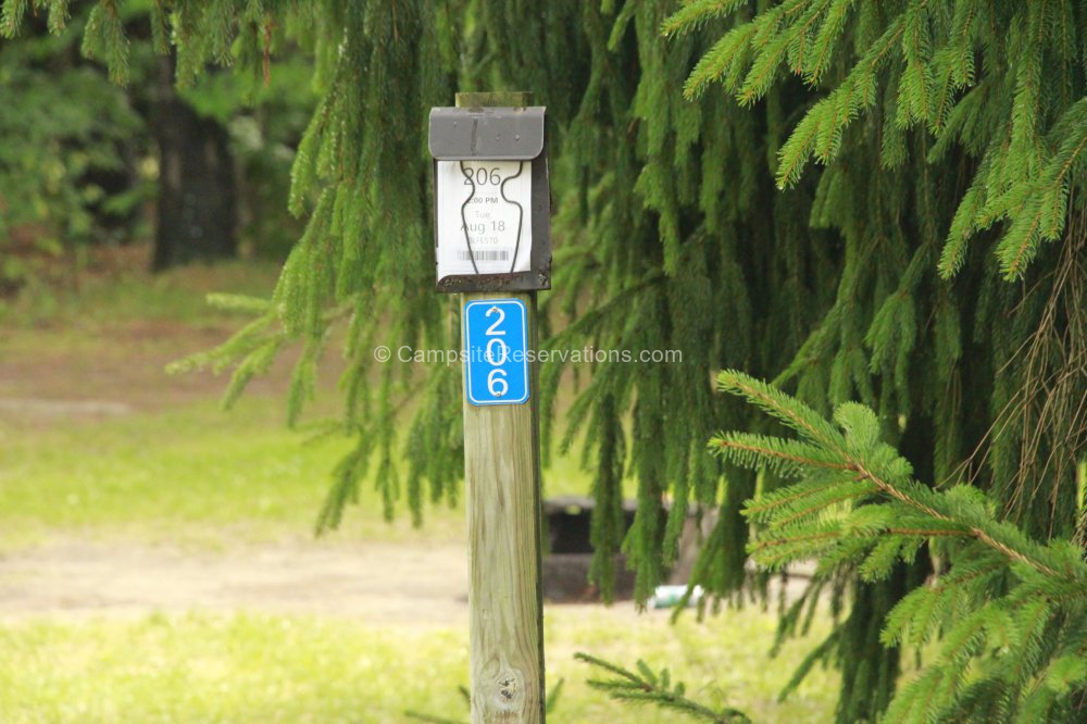 Photo of Campsite 206 in Fletcher Field Campground at Earl Rowe