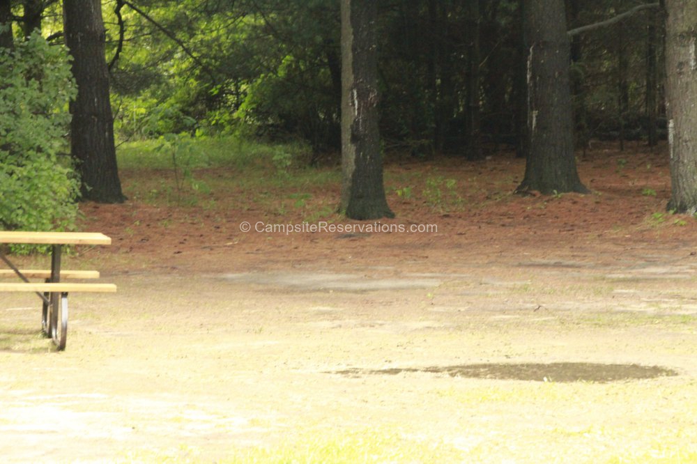 Photo of Campsite 206 in Fletcher Field Campground at Earl Rowe