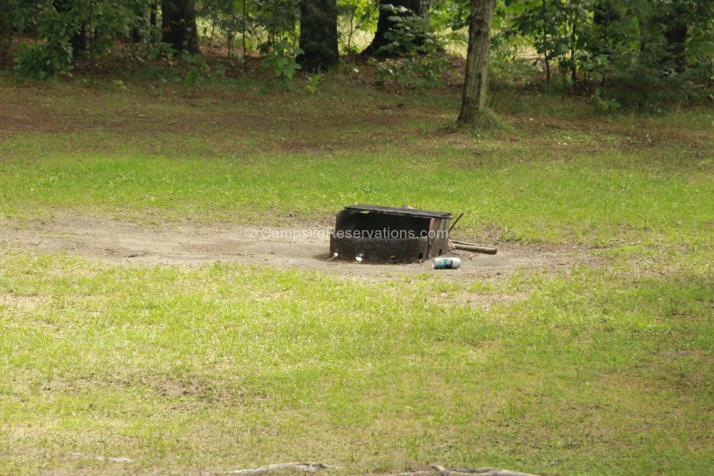 Photo of Campsite 206 in Fletcher Field Campground at Earl Rowe