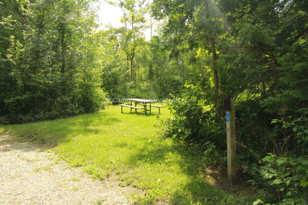 Campsite 24 in Rabbit Loop Campground at Earl Rowe Provincial Park