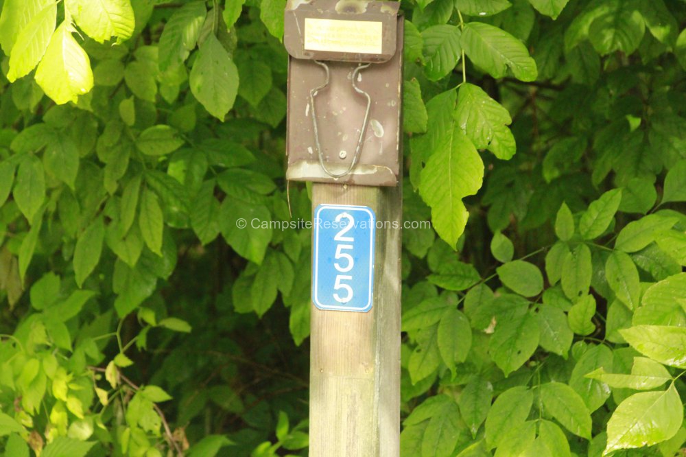 Campsite 255 in Fletcher Field Campground at Earl Rowe Provincial Park