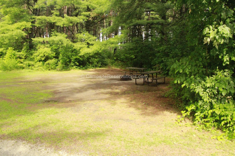 Campsite 255 in Fletcher Field Campground at Earl Rowe Provincial Park