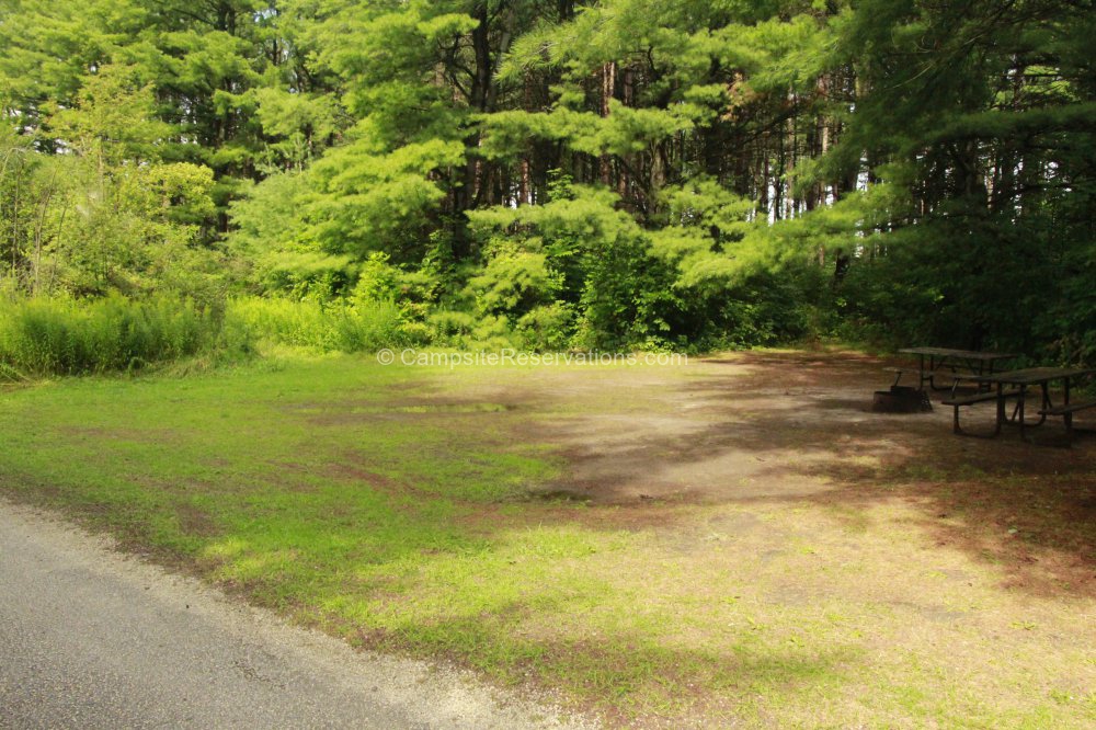 Campsite 255 in Fletcher Field Campground at Earl Rowe Provincial Park
