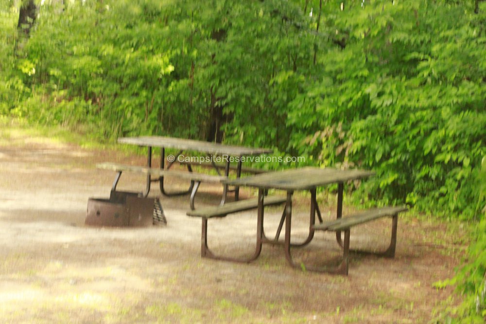 Campsite 255 in Fletcher Field Campground at Earl Rowe Provincial Park