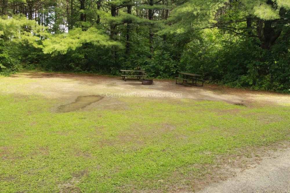 Campsite 255 in Fletcher Field Campground at Earl Rowe Provincial Park