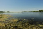 Emily Provincial Park, Ontario, Canada. 