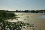 Emily Provincial Park, Ontario, Canada. 