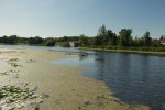 Emily Provincial Park, Ontario, Canada. 