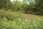 Ferris Provincial Park, Ontario, Canada. 