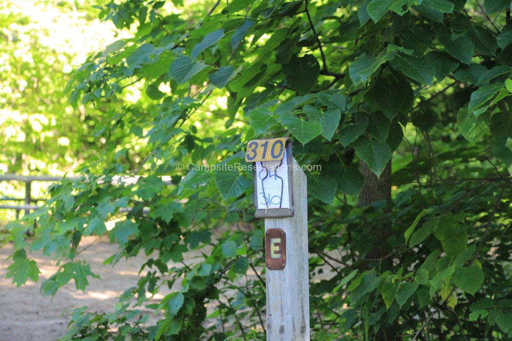 Photo of Campsite 310 in Poplar Campground at Grundy Lake Provincial