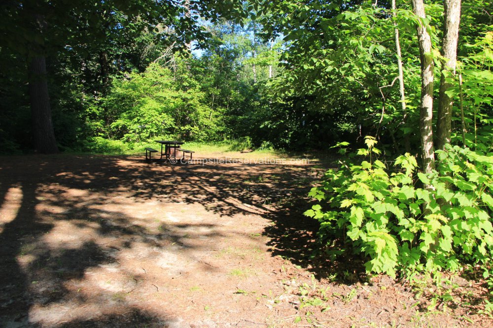 Campsite 328 in Poplar Campground at Grundy Lake Provincial Park
