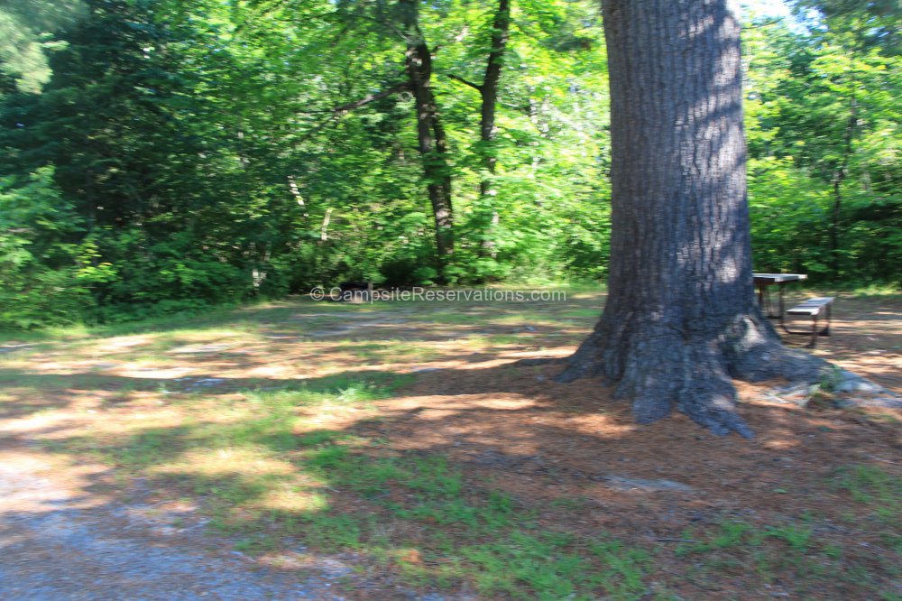 Photo of Campsite 335 in Poplar Campground at Grundy Lake Provincial