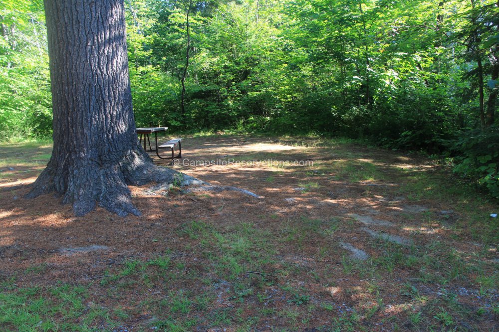 Photo of Campsite 335 in Poplar Campground at Grundy Lake Provincial