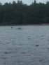 Killbear Provincial Park, Ontario, Canada. 