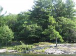 Killbear Provincial Park, Ontario, Canada. 