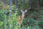 Killbear Provincial Park, Ontario, Canada. 