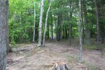 Killbear Provincial Park, Ontario, Canada. 