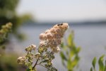 Killbear Provincial Park, Ontario, Canada. 