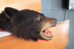 Killbear Provincial Park, Ontario, Canada. Displays at visitor centre
