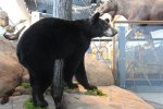 Killbear Provincial Park, Ontario, Canada. Displays at visitor centre