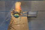 Killbear Provincial Park, Ontario, Canada. Displays at visitor centre