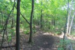 Killbear Provincial Park, Ontario, Canada. Lighthouse Point trail