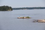 Killbear Provincial Park, Ontario, Canada. Lighthouse point trail
