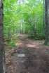 Killbear Provincial Park, Ontario, Canada. Lighthouse point trail