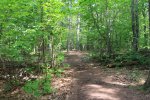 Killbear Provincial Park, Ontario, Canada. Lighthouse point trail