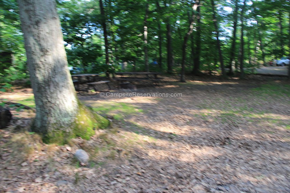 Campsite 1111 in Lighthouse Point Campground at Killbear Provincial