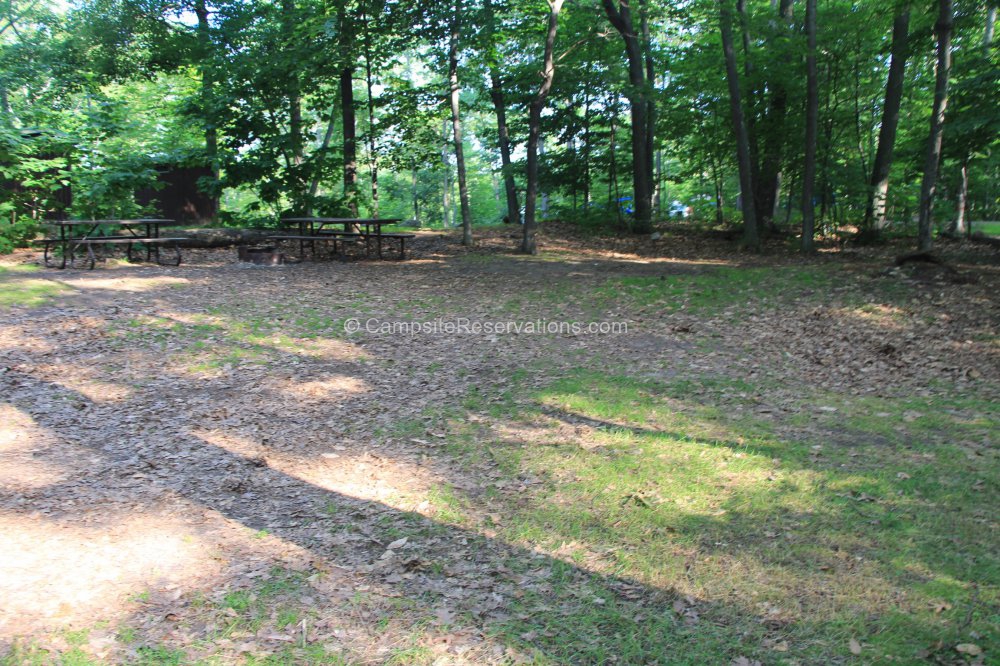 Campsite 1111 in Lighthouse Point Campground at Killbear Provincial