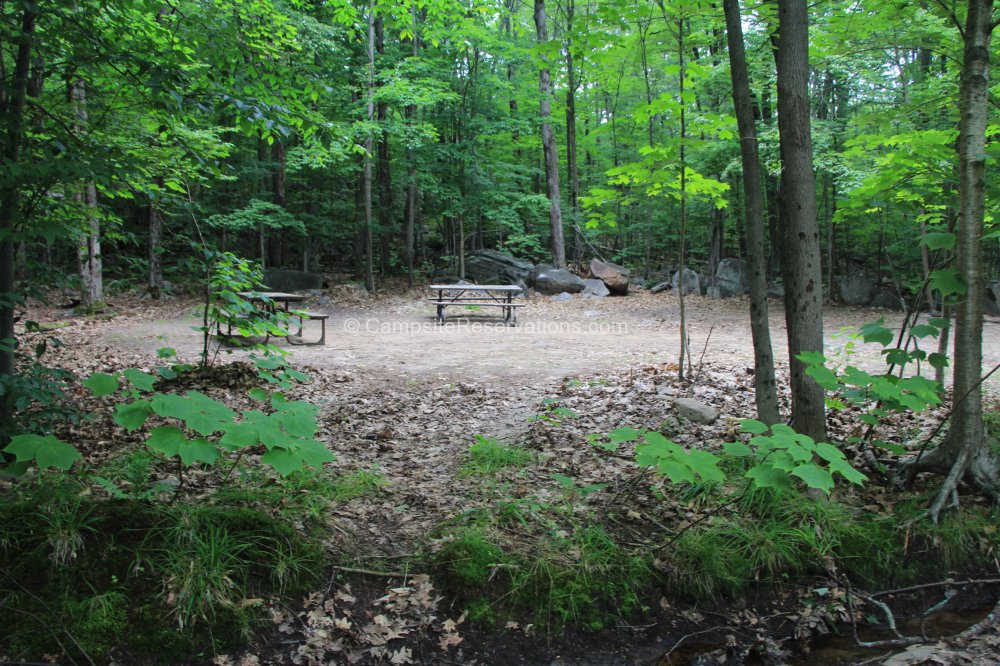 Campsite 1488 in Lighthouse Point Campground at Killbear Provincial