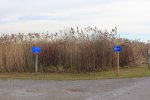 Long Point Provincial Park photo 3